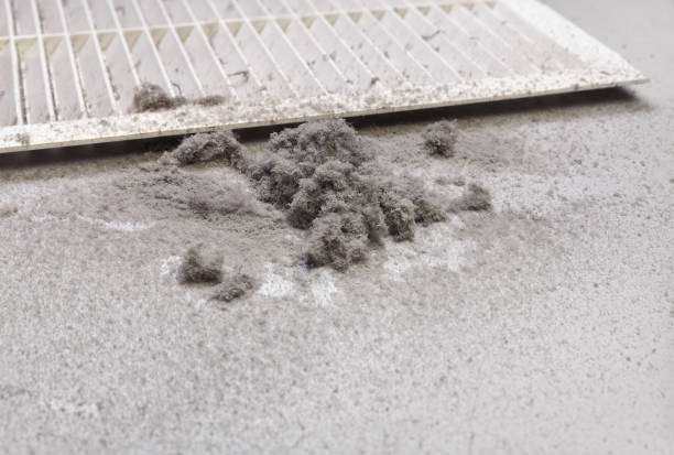 Best General Air Duct Cleaning  in Montague, MI