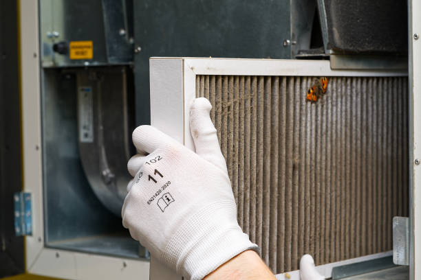 Best Affordable Air Duct Cleaning  in Montague, MI